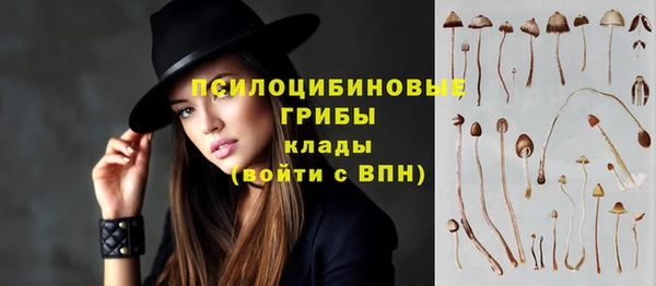 Альфа ПВП Армянск