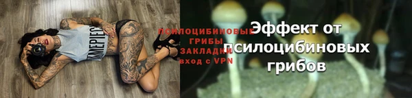 mdpv Арсеньев