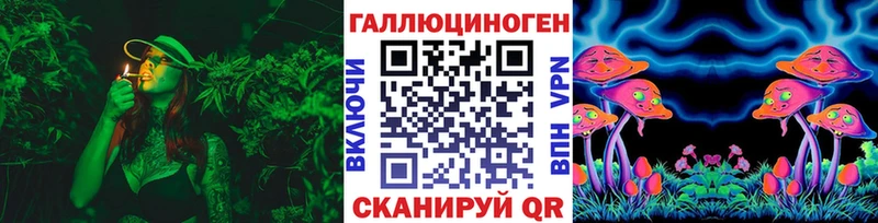 Псилоцибиновые грибы прущие грибы  OMG вход  Судак 